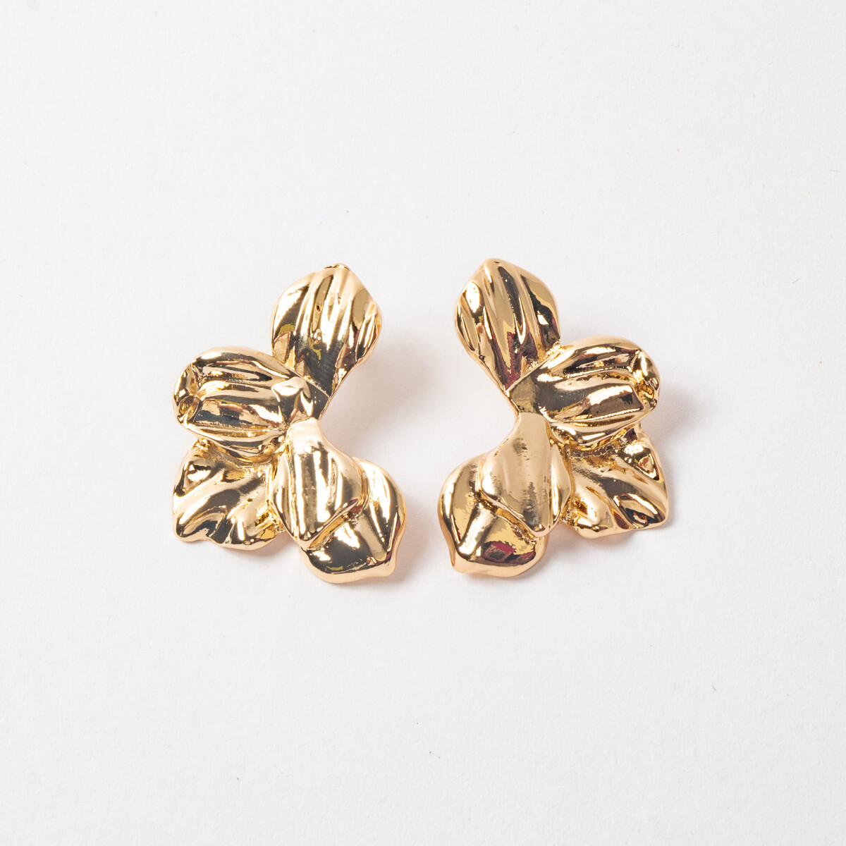 CARAVANAS MEDELLIN DORADAS 