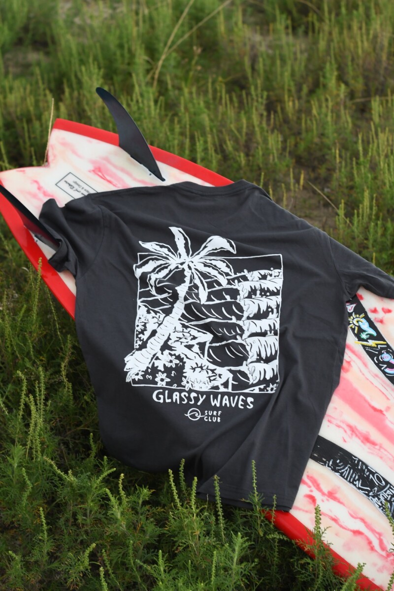 Remeron Serie / Gris Wash 