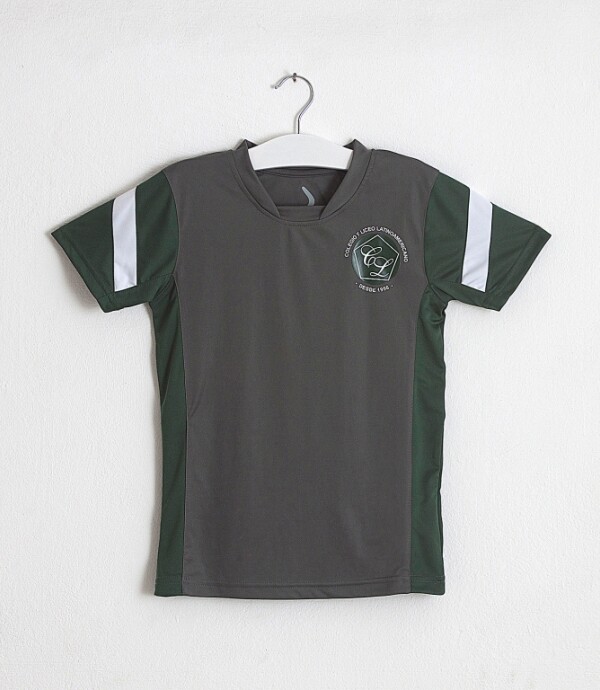 Remera Handballl Latinoamericano Gris