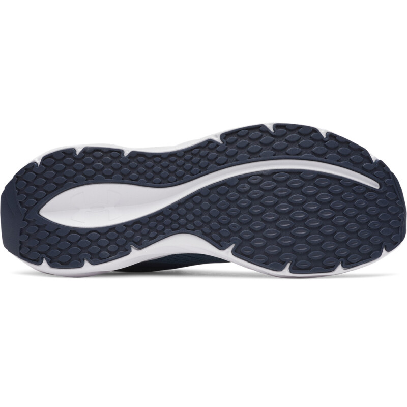 UA Ascend-BLU BLU-498