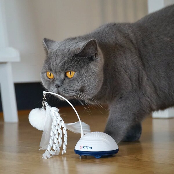 Juguete Interactivo Gatos Kittio Movimientos Sonidos Pluma Juguete Interactivo Gatos Kittio Movimientos Sonidos Pluma