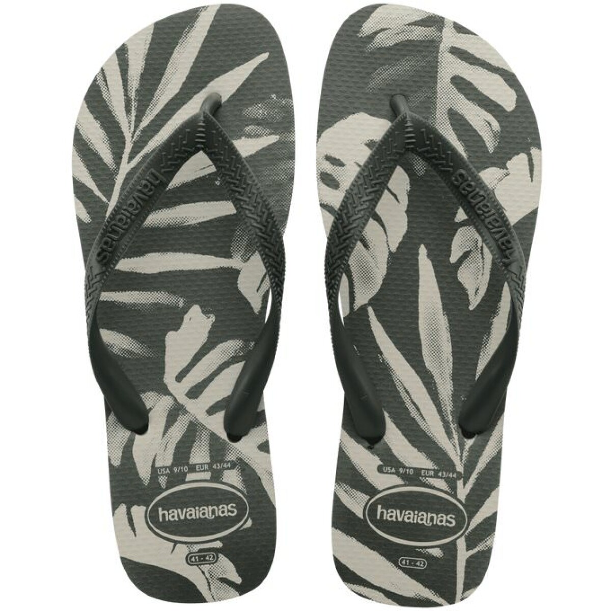 Sandalias de Hombre Havaianas Havaiana Aloha - Verde - Verde Oliva - Verde 
