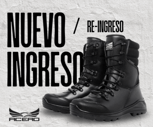Ingreso Acero