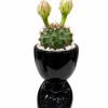 LITTLE PEOPLE CON CACTUS NEGRO