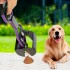 Pala Higiénica Levanta Desechos De Mascotas Perro Gato Color Variante Negro