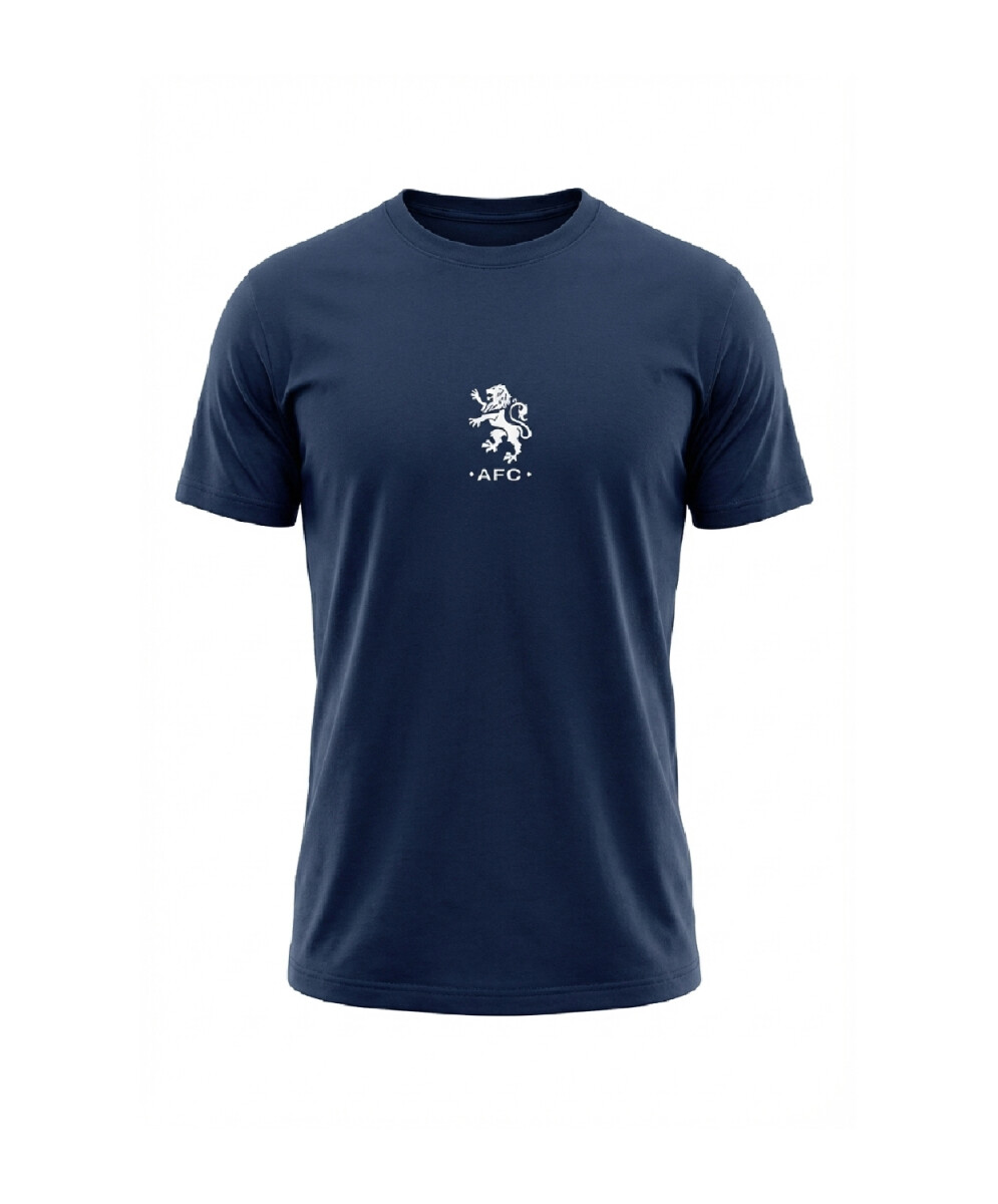 Remera Ascenso 2025 Albion FC 