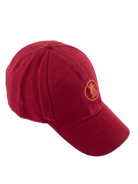 gorra visera Bordo