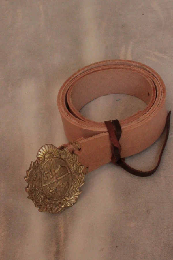 Simple Escudo Belt Dorado