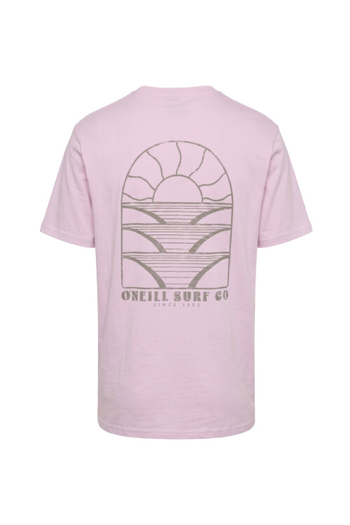 Remera O'Neill Overzized Boxy Horizon Rosa