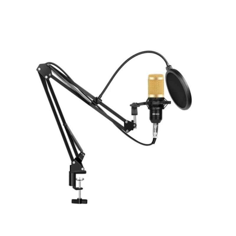 MICROFONO CON BRAZO Y ECUALIZADOR AV102 MICROFONO CON BRAZO Y ECUALIZADOR AV102