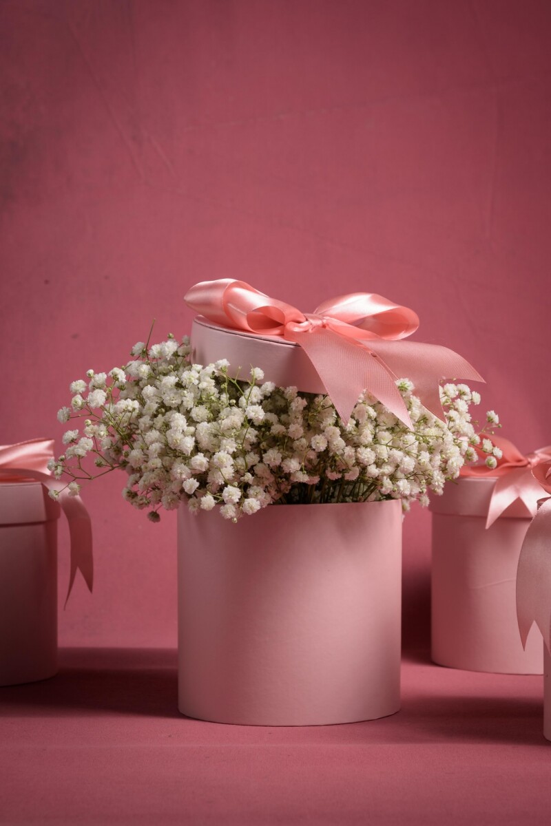Box Rosa Ilusión 