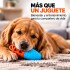 Juguete Morder Perros Gatos Limpieza Dental Golosinas Premio Celeste Naranja