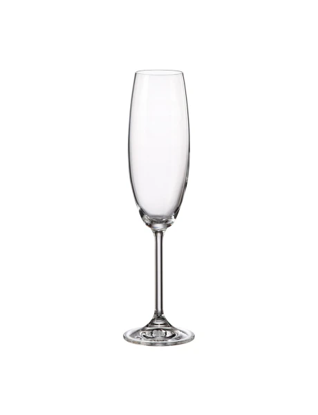 SET 6 COPAS FLAUTA 230ML GASTRO BOHEMIA SET 6 COPAS FLAUTA 230ML GASTRO BOHEMIA