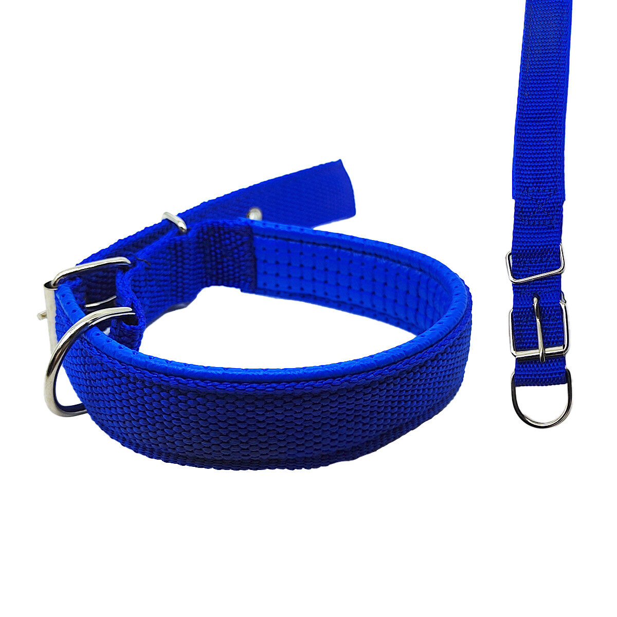 Collar 2.5 Cm Perros Acolchado Cómodo y práctico - Color azul 