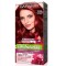 Garnier Nutrisse Cor intensa Tono 6.6