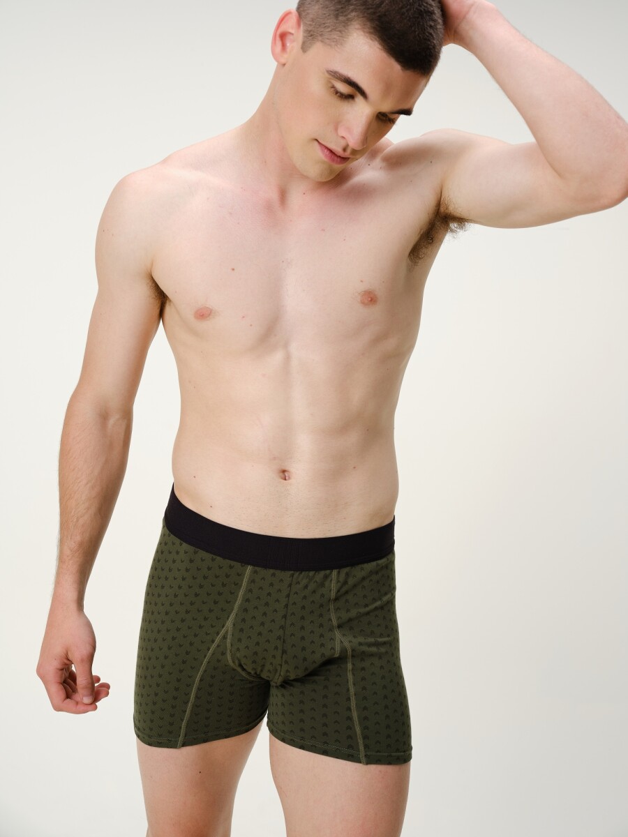 Boxer Algodón - Verde Espiga 