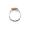 Anillo Profesión Nurse-Plata y Oro-Sin Piedra-AP5008 - Adulto - Sinpiedra