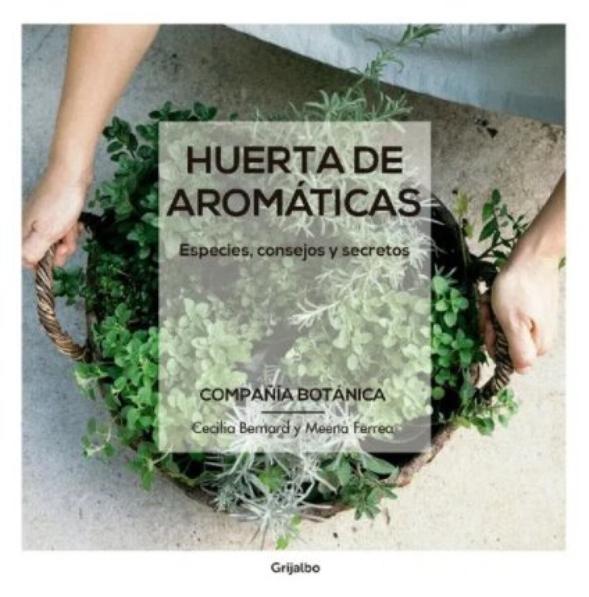 HUERTAS DE AROMATICAS 