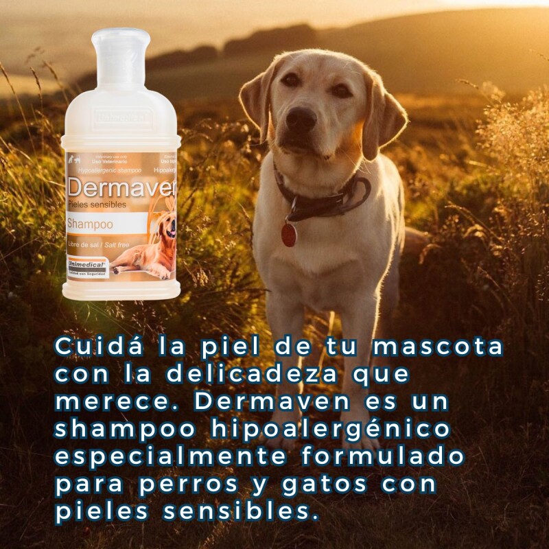 DERMAVEN SHAMPOO CON AVENA LIBRE DE SAL PARA PIELES SENSIBLES DERMAVEN SHAMPOO CON AVENA LIBRE DE SAL PARA PIELES SENSIBLES
