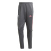 Pantalon ADIDAS de Hombre - FQ7885 Gris