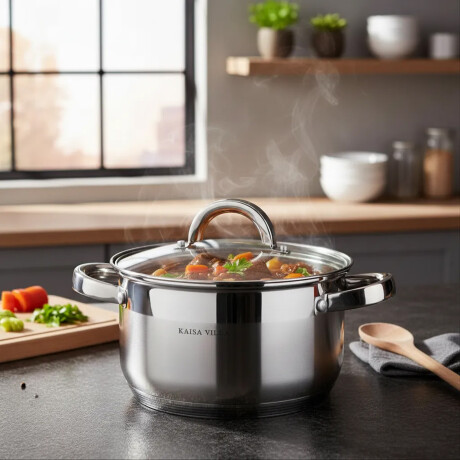 Olla Cacerola Con Tapa Vidrio 7.9L Acero Inoxidable D.26cm Plateado