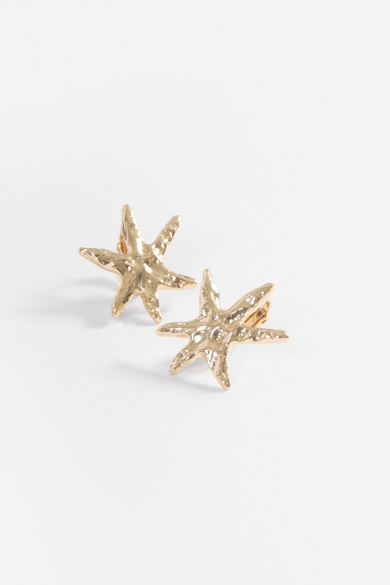 Caravanas clip estrellas dorado