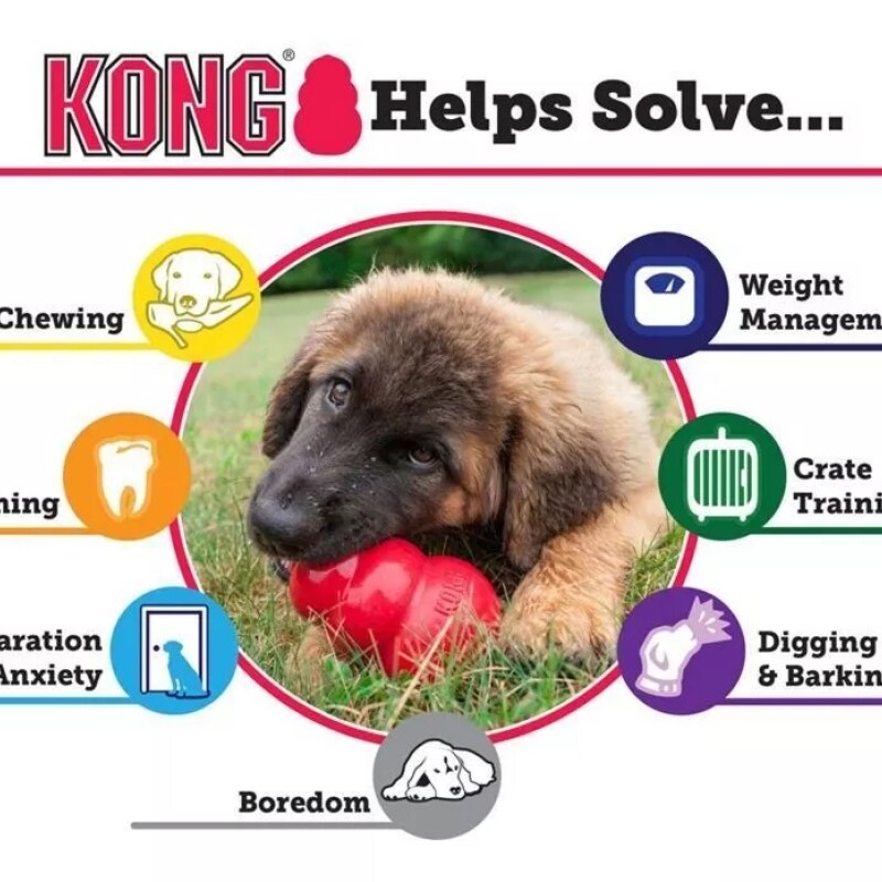 KONG CLASSIC MEDIUM KONG CLASSIC MEDIUM