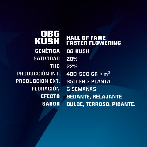 FF - OBG KUSH X2 UNIDADES