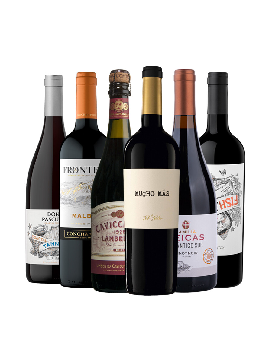 Pack Selección Bloom Season x6 vinos Tintos Frescos Pack Selección Bloom Season x6 vinos Tintos Frescos