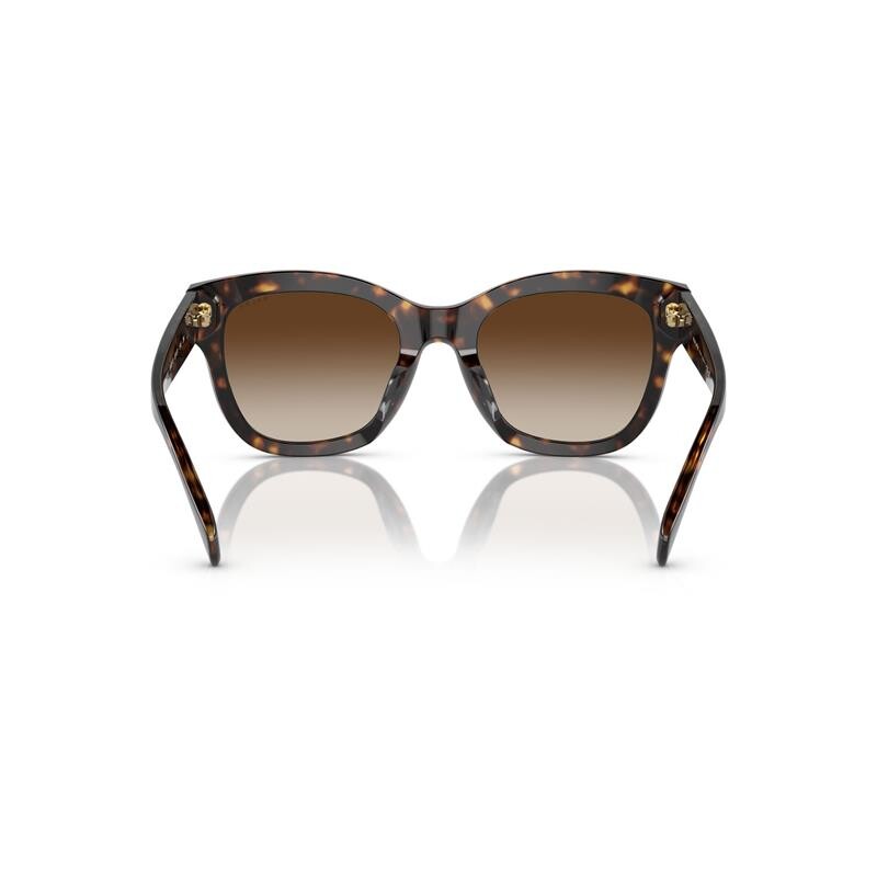 Ralph Lauren 5301u 5003/13