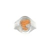 Anillo Profesión Auxiliar de Farmacia -Plata y Oro-Sin Piedra-AP5020 sinpiedra