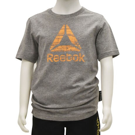 Remera Infantil Reebok B Es Dt Tee Deportiva Urbana Casual Gris