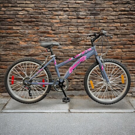 Bicicleta Baccio Alpina Lady Montaña rodado 26 con 6 cambios VIOLETA/FUCSIA