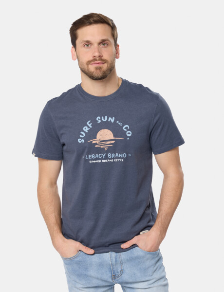 REMERA ESTAMPADA Azul