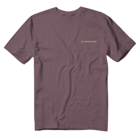Remera Quiksilver Desert Waves Rosado