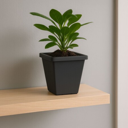 MACETA AZTECA PIRAMIDAL 4 LITROS NEGRO MACETA AZTECA PIRAMIDAL 4 LITROS NEGRO