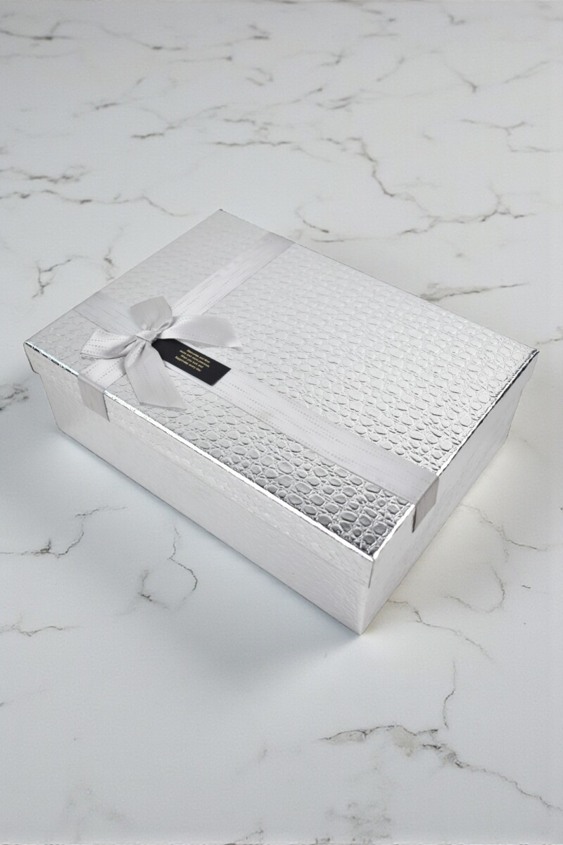 caja rigida delux con lazo 20x28x9,5 - PLATA 