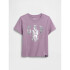 V-DISLOGO TEE SP DIS FAM AMETHYST2