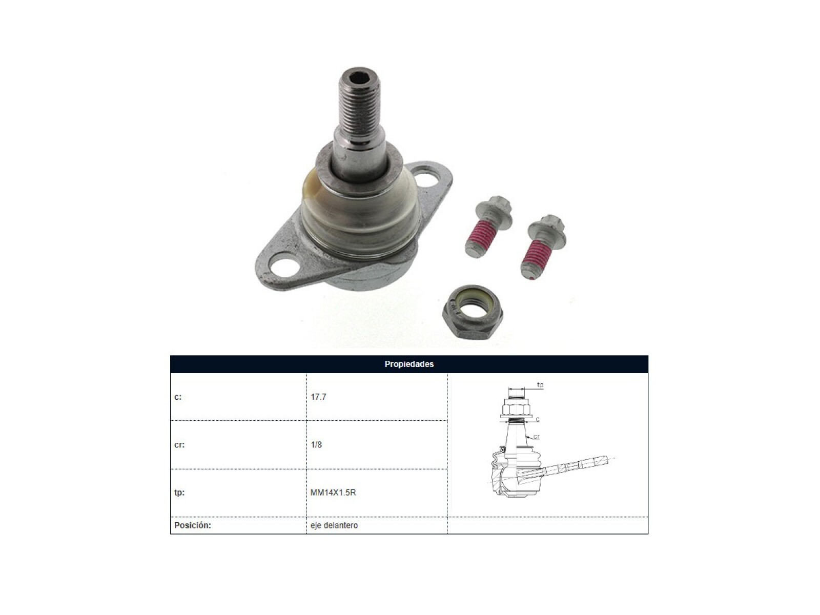Rotula Del BMW X3 (E83)/X3 Diesel (E83) 03-09 Der/Izq 