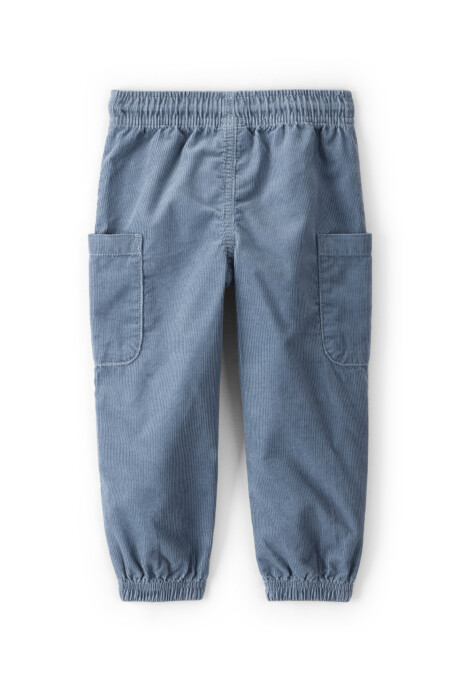 Pantalón de pana, azul Sin color