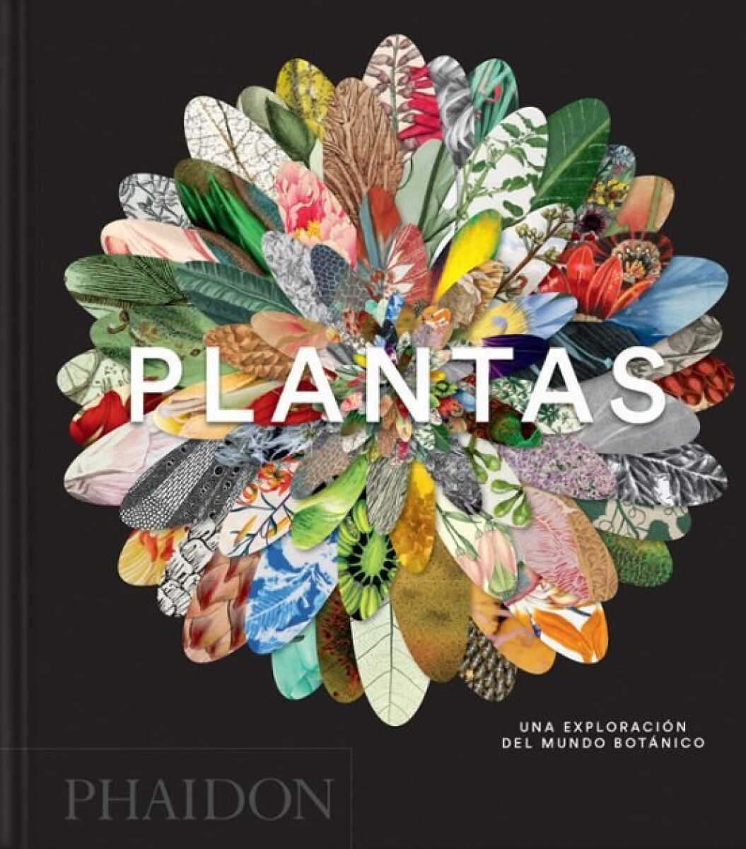 PLANTAS. UNA EXPLORACION DEL MUNDO BOTANICO 