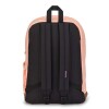 Right Pack Peach Neon