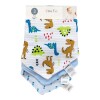Set x3 baberos bandana GROW dinos