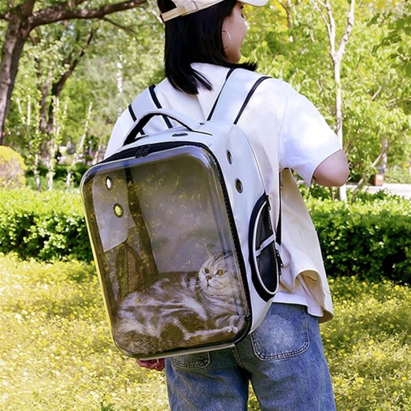 Mochila Transparente Rectangular Perro Gato Animal Premium Color Variante Azul