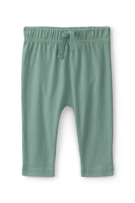 Set tres piezas de algodón, pantalón, body saco, verde y crema, diseño dinos Sin color
