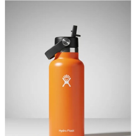 Botella 21 Oz (621ml) Standard Flex Straw Cap Hydro Flask Mesa