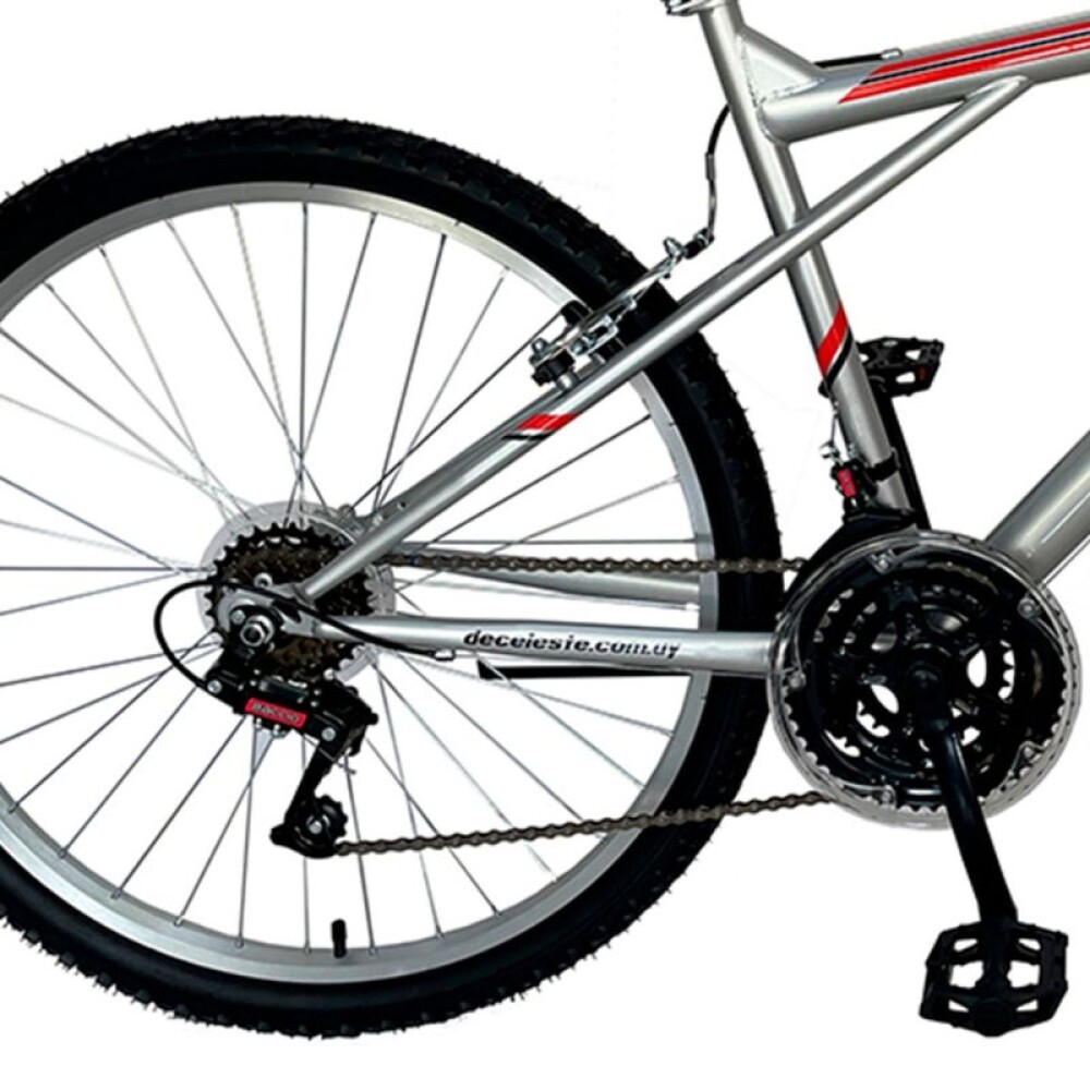 Bicicleta ALPINA MAN - Rodado 26 - Baccio Gris