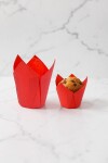 Tulipa 15x5 cm ROJO