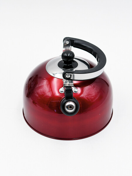 CALDERA ACERO INOXIDABLE ROJO