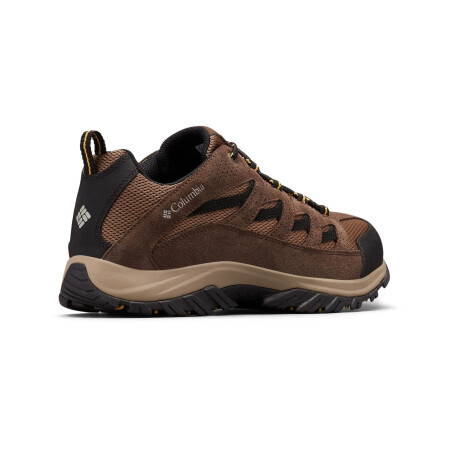 Championes Columbia Crestwood Low Brown